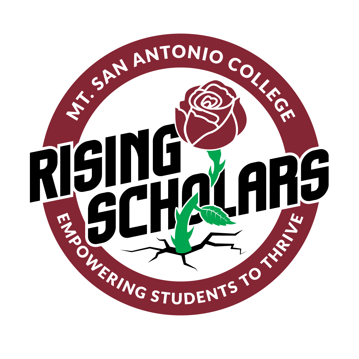 Rising Scholars logo