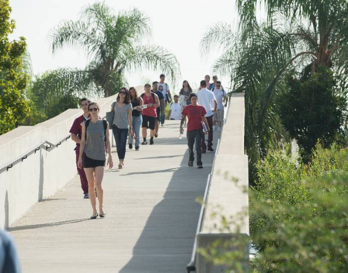 Students walk across a pedestrian bridge
