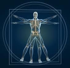 Kinesiology