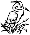 Click here for the Egret coloring page