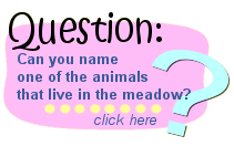 Can you name one of the animals that live in the meadow?