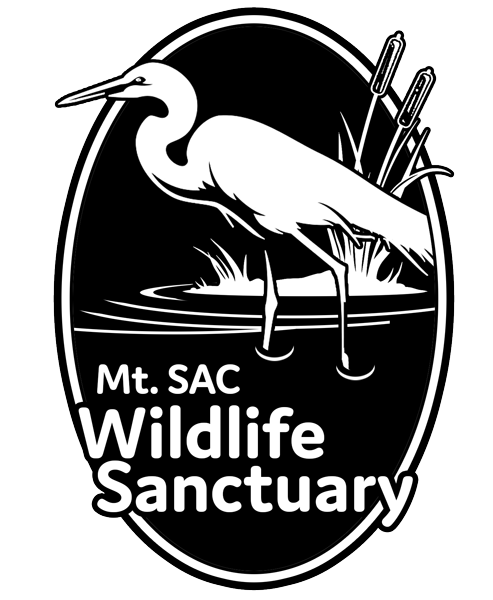 Wildlife Sanctuary heron or egret standing in water among cattails, Logo